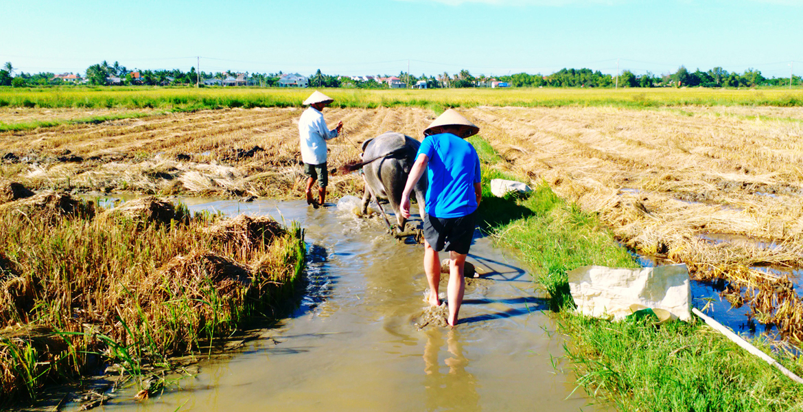 Hoi An Farming and Fishing Experience